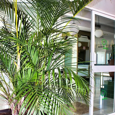 דירה Altamira Sunset *