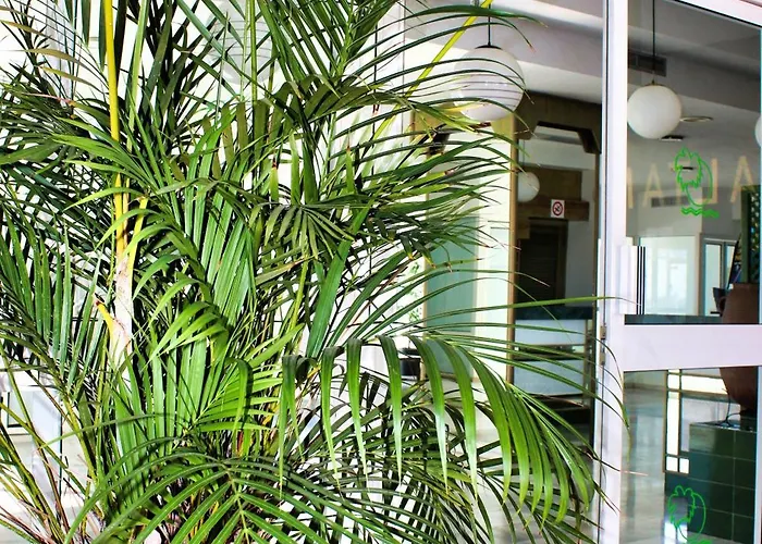 Apartman Altamira Sunset *